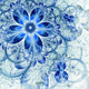 Dark Blue Fractal Flower Digital Artwork Wall Mural