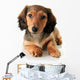 Dachshund Puppy Wall Decal