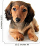 Dachshund Puppy Wall Decal