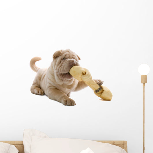 Shar Pei Puppy Wall Decal
