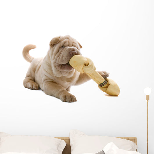 Shar Pei Puppy Wall Decal