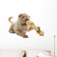 Shar Pei Puppy Wall Decal