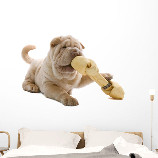 Shar Pei Puppy Wall Decal
