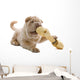 Shar Pei Puppy Wall Decal