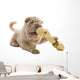 Shar Pei Puppy Wall Decal