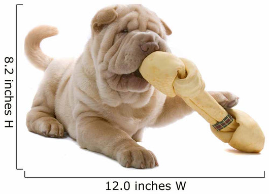 Shar Pei Puppy Wall Decal