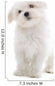 Maltese Dog Isolated on White Wall Decal