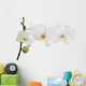 large white isolated three orchid flowers on branch 