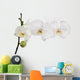 large white isolated three orchid flowers on branch 