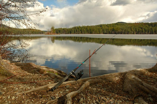 Fishing Rod Placed on the Ground near a  Lake Outdoors at a Recr Wall Mural