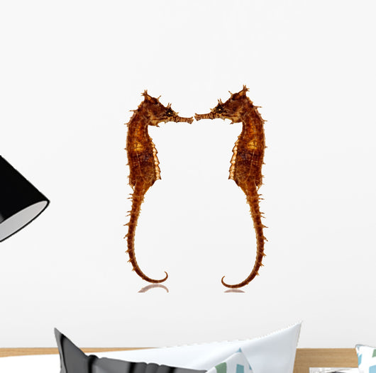 seahorses Wall Decal