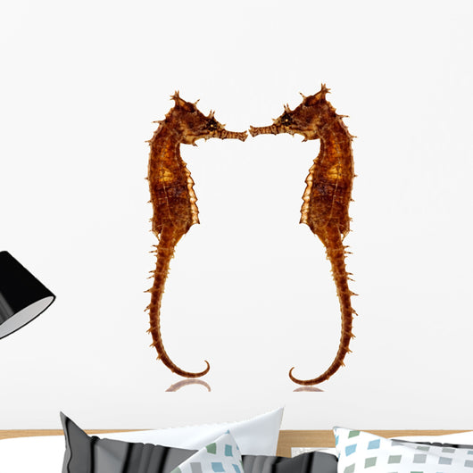 seahorses Wall Decal