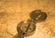 Compass and Nautical Map Wall Decal