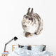 Female Dwarf Rabbit with Wall Decal