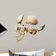 Human skull with parts exploded. 