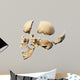 Human skull with parts exploded. 