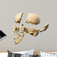 Human skull with parts exploded. 
