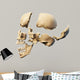 Human skull with parts exploded. 