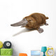 Platypus duck-billed animal. 