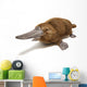 Platypus duck-billed animal. 