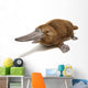 Platypus duck-billed animal. 