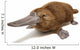 Platypus duck-billed animal. 