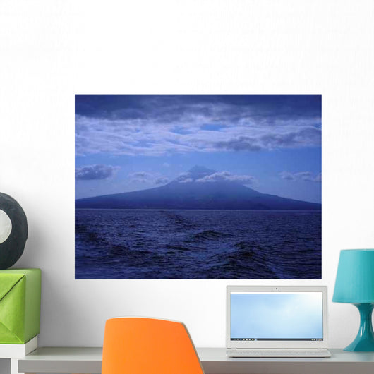 Pico 2 Wall Decal