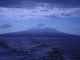 Pico 2 Wall Decal