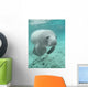 Manatee sea cow cristal river florida Wall Mural
