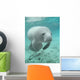 Manatee sea cow cristal river florida Wall Mural