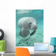 Manatee sea cow cristal river florida Wall Mural