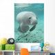 Manatee sea cow cristal river florida Wall Mural