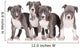 four american staffordshire terrier puppies 