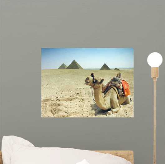 Camel With Pyramids Wall Mural