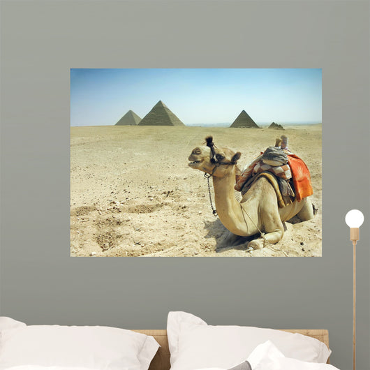 Camel With Pyramids Wall Mural
