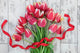 Red Tulip Flowers Wall Mural