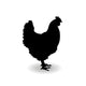 Form Contour Chicken Wall Decal