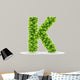 Letter K,  vector alphabet of green leaves 