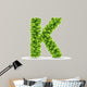 Letter K,  vector alphabet of green leaves 