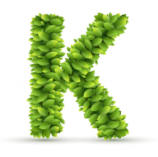 Letter K,  vector alphabet of green leaves 