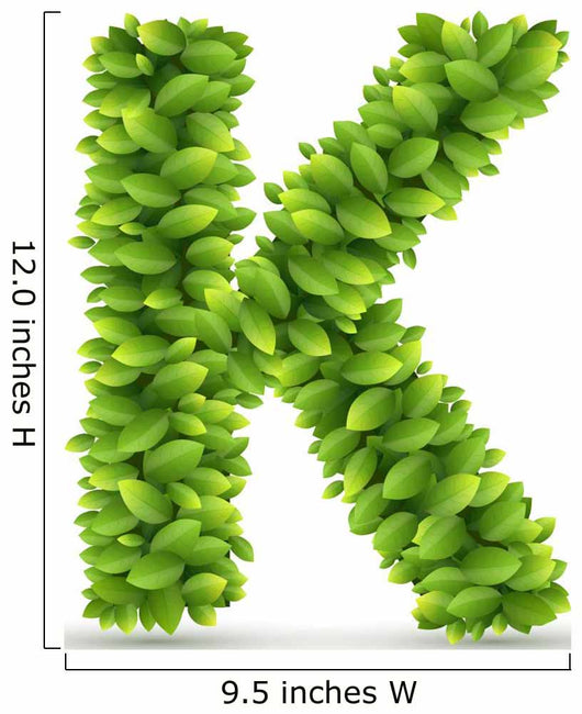 Letter K,  vector alphabet of green leaves 