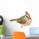 Female Cardinal 
