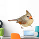 Female Cardinal 