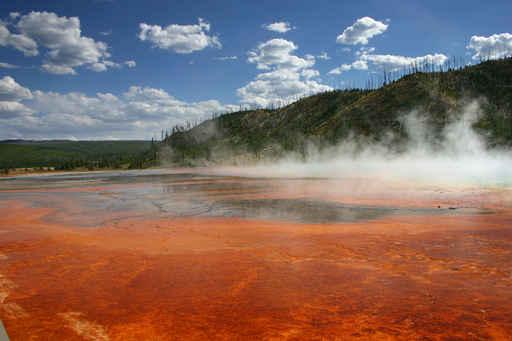 Colors Grand Prismatic Spring Wall Decal