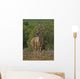 One Of the Largest Kudus Ever Recorded Wall Mural