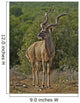 One Of the Largest Kudus Ever Recorded Wall Mural