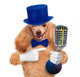 Dog with a Microphone Wall Decal