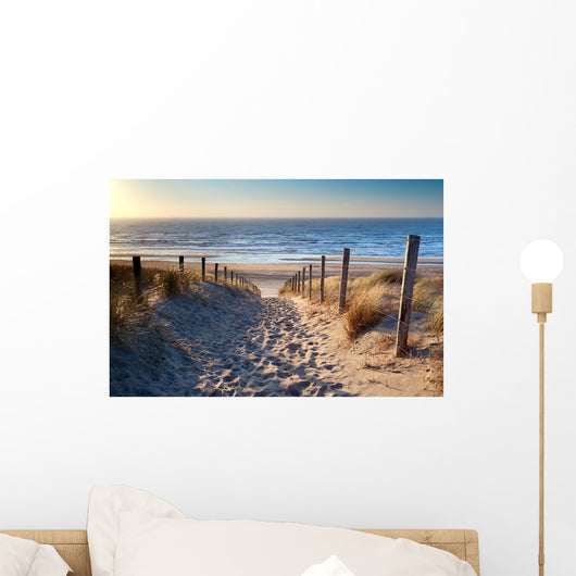 Path to North Sea Beach 