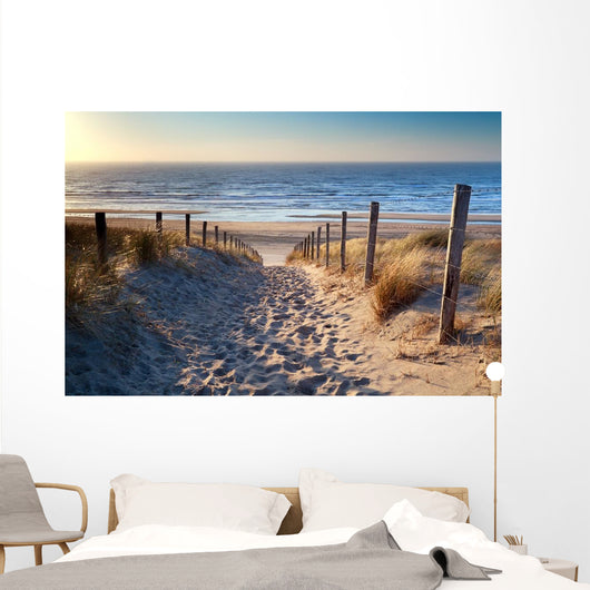 Path to North Sea Beach 