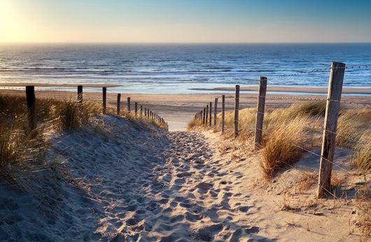 Path to North Sea Beach 